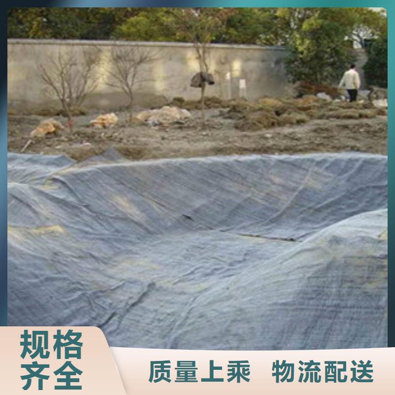 膨润土防水毯-防裂贴抗裂贴专业生产制造厂