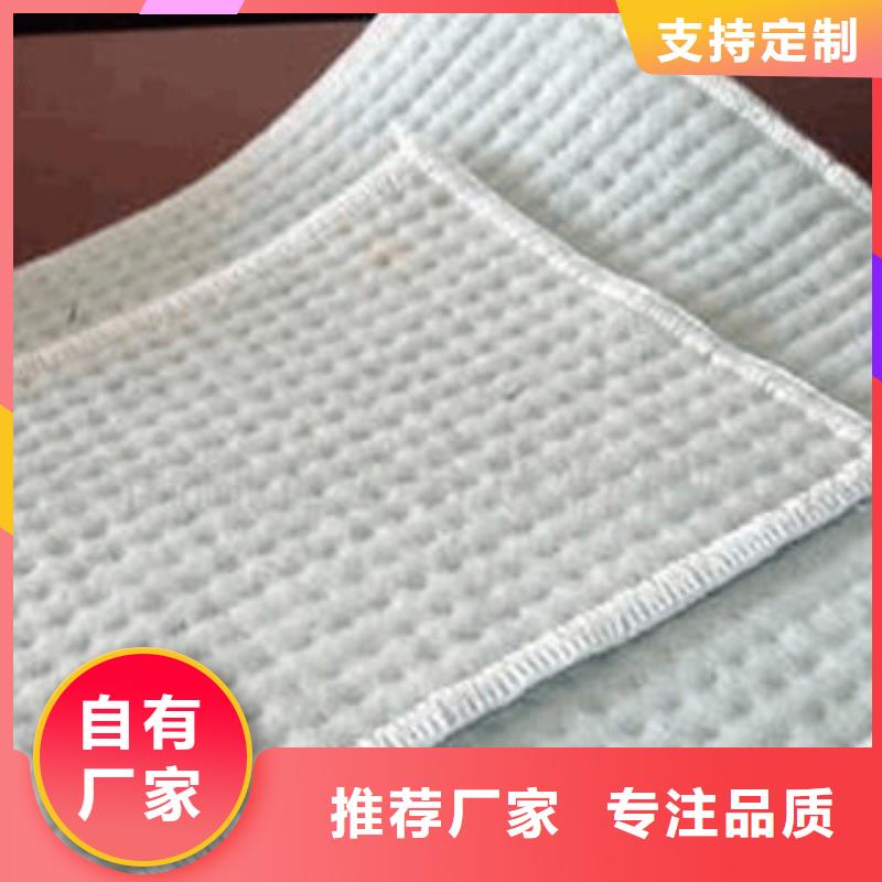 膨潤土防水毯-塑料土工格柵認準大品牌廠家