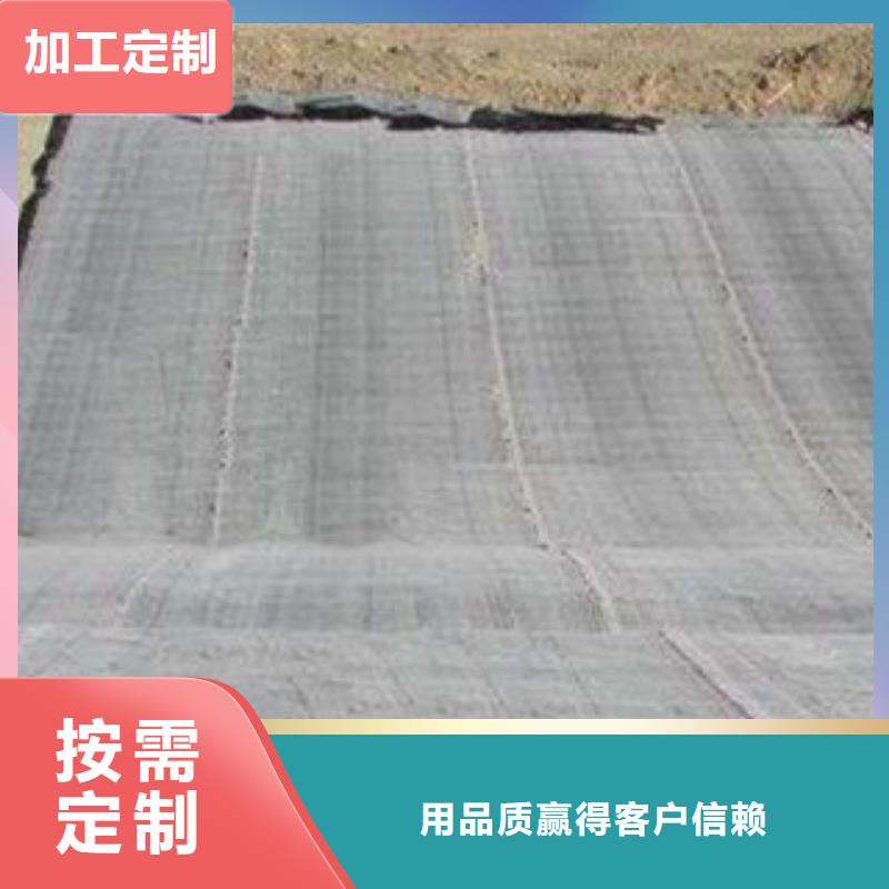 膨潤土防水毯塑料土工格柵可放心采購