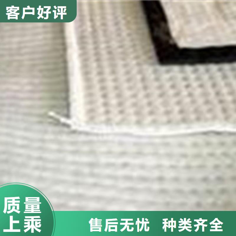 膨潤土防水毯塑料土工格柵可放心采購