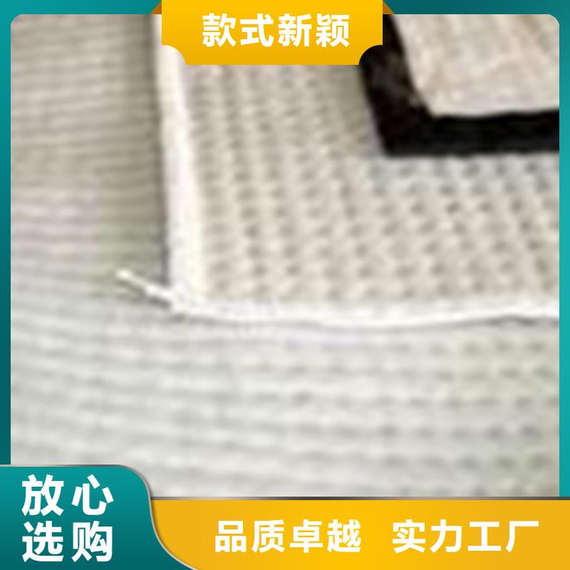 膨潤(rùn)土防水毯塑料土工格柵可放心采購(gòu)
