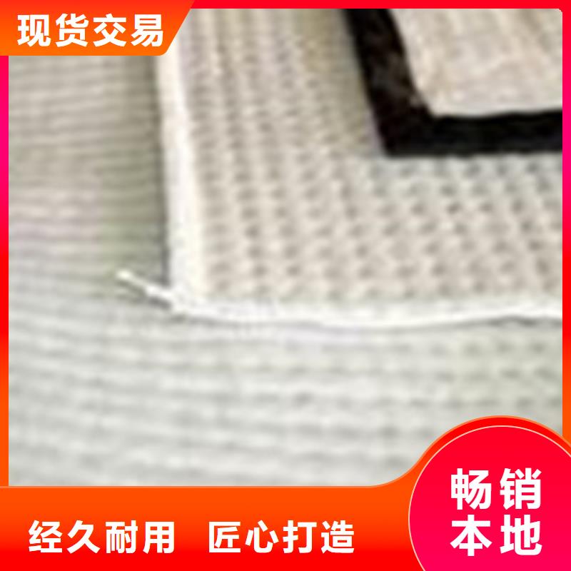 膨潤土防水毯塑料土工格柵可放心采購