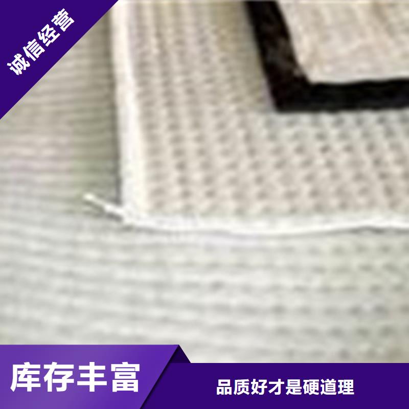 膨潤土防水毯塑料土工格柵可放心采購
