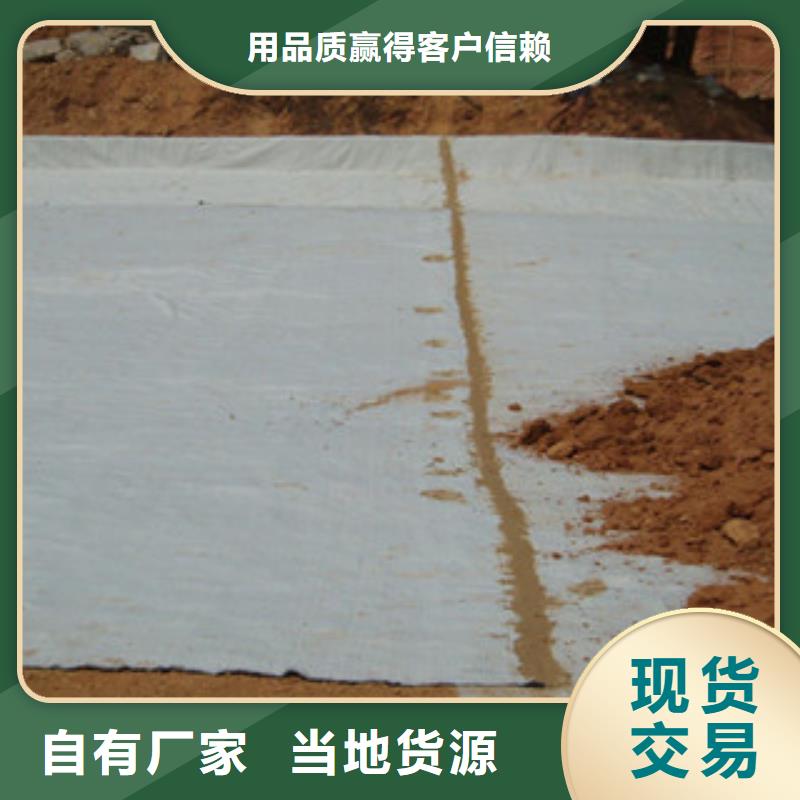 膨潤土防水毯塑料土工格柵可放心采購
