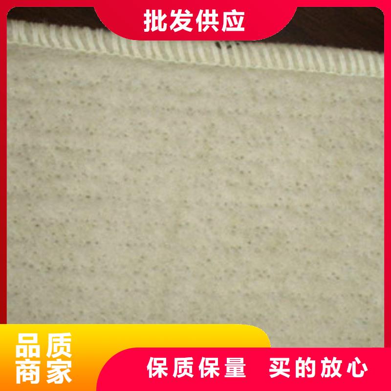膨潤土防水毯塑料土工格柵可放心采購