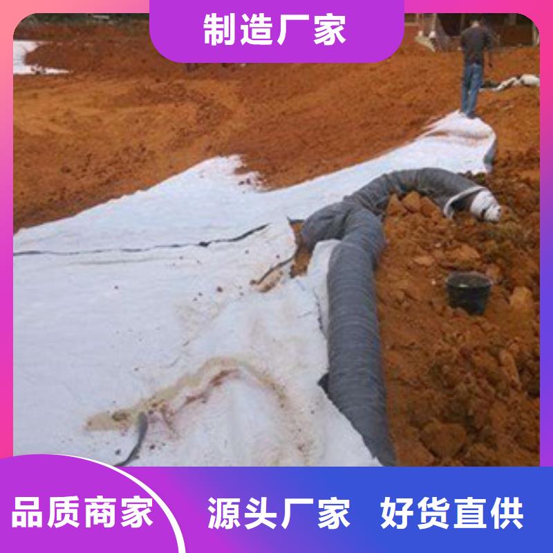 膨潤土防水毯塑料土工格柵可放心采購