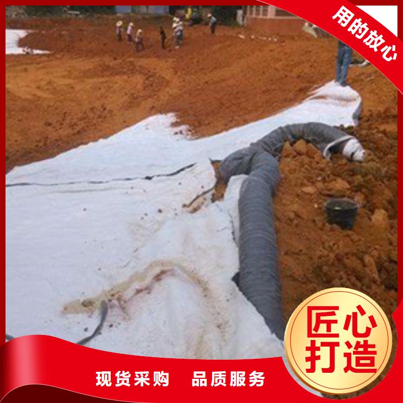 膨潤(rùn)土防水毯塑料土工格柵可放心采購(gòu)
