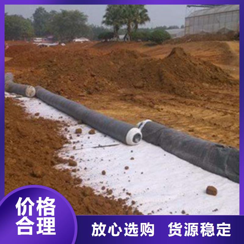 膨潤土防水毯塑料土工格柵可放心采購