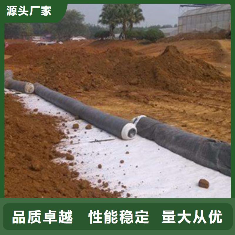 膨潤土防水毯塑料土工格柵可放心采購