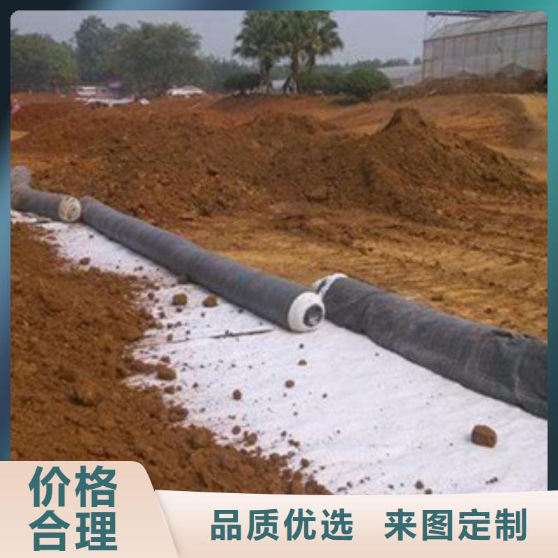 膨潤土防水毯塑料土工格柵可放心采購