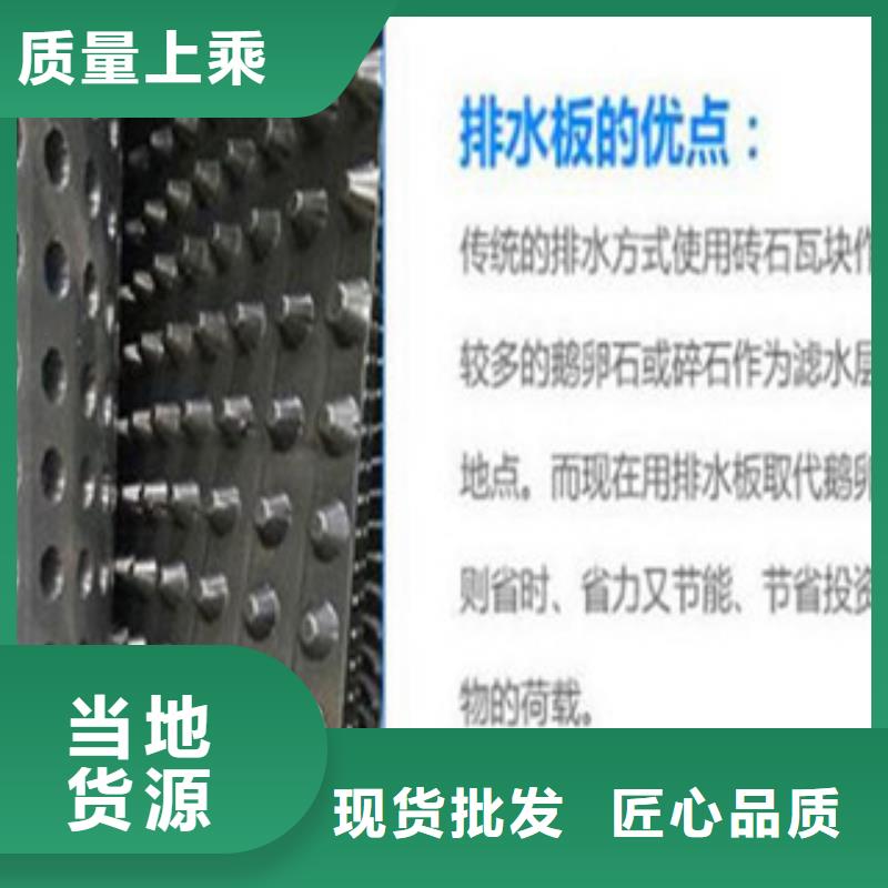 塑料排水板钢塑土工格栅海量货源