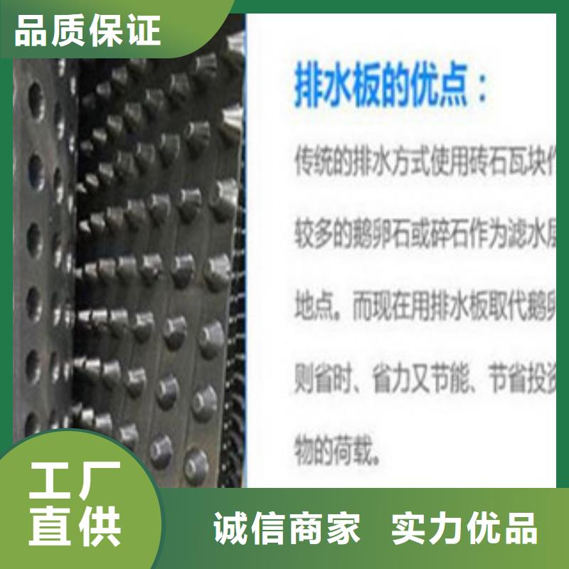塑料排水板鋼塑土工格柵誠信為本