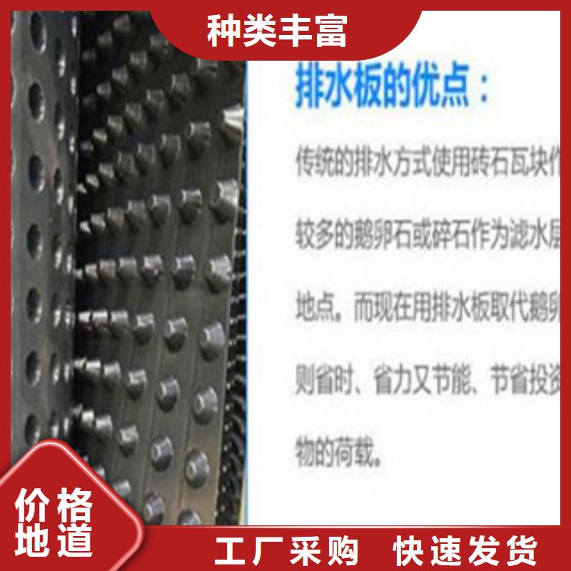塑料排水板鋼塑土工格柵海量貨源