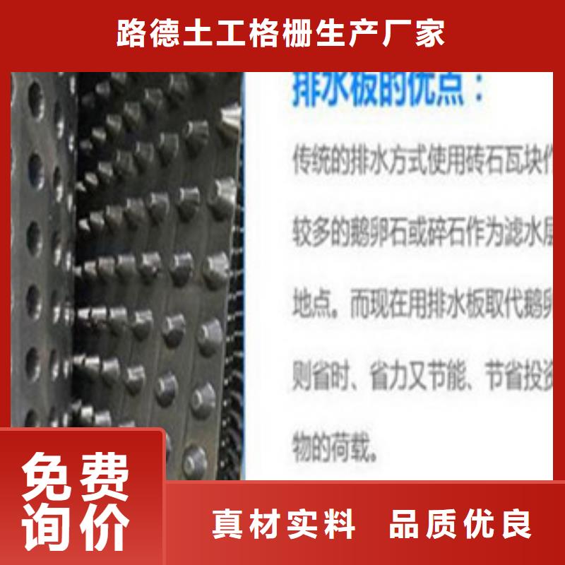 塑料排水板钢塑土工格栅海量货源