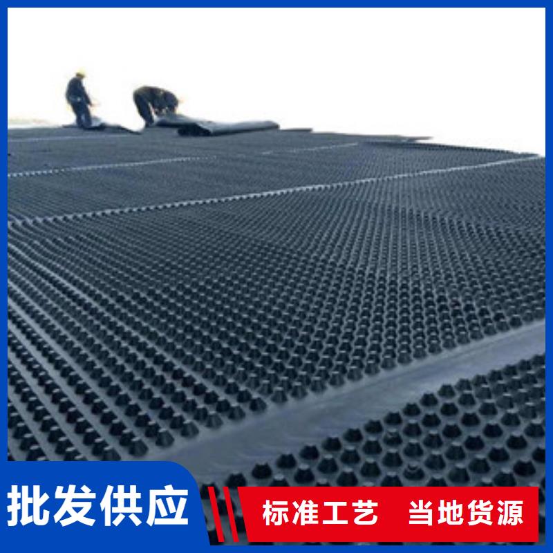 塑料排水板钢塑土工格栅海量货源