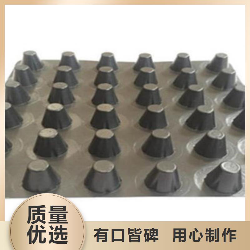 塑料排水板-防裂贴抗裂贴实力商家