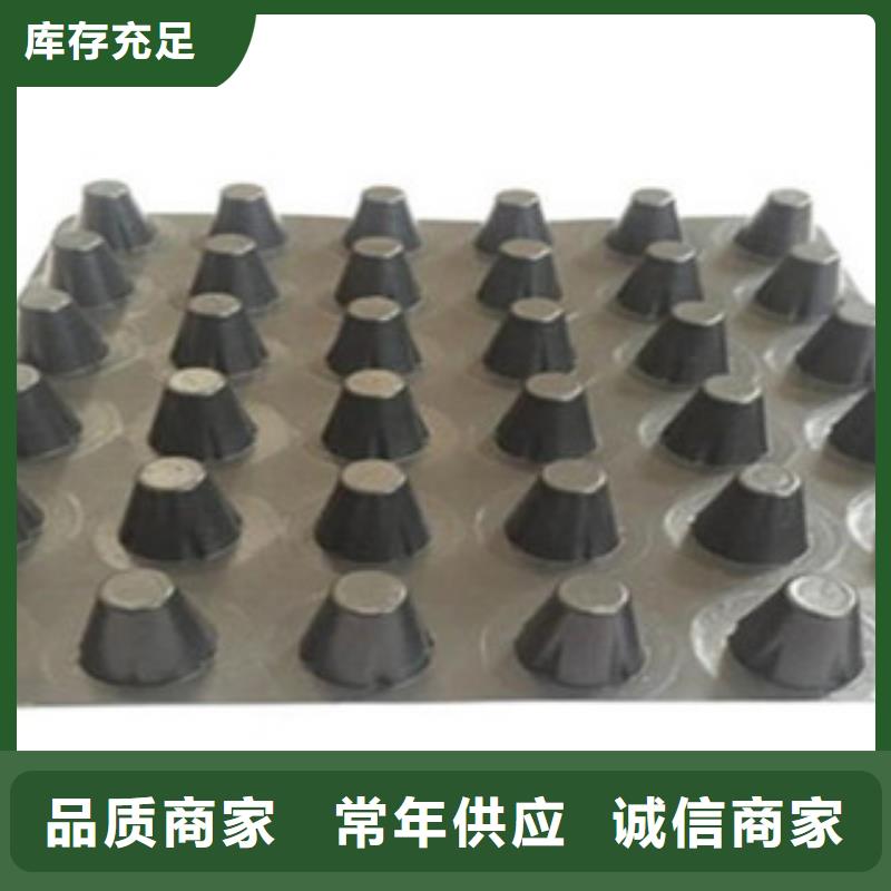 塑料排水板玻纖土工格柵實(shí)力公司