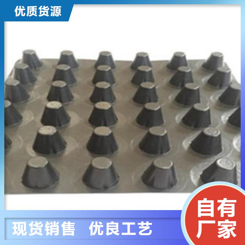 塑料排水板塑料土工格栅拒绝差价