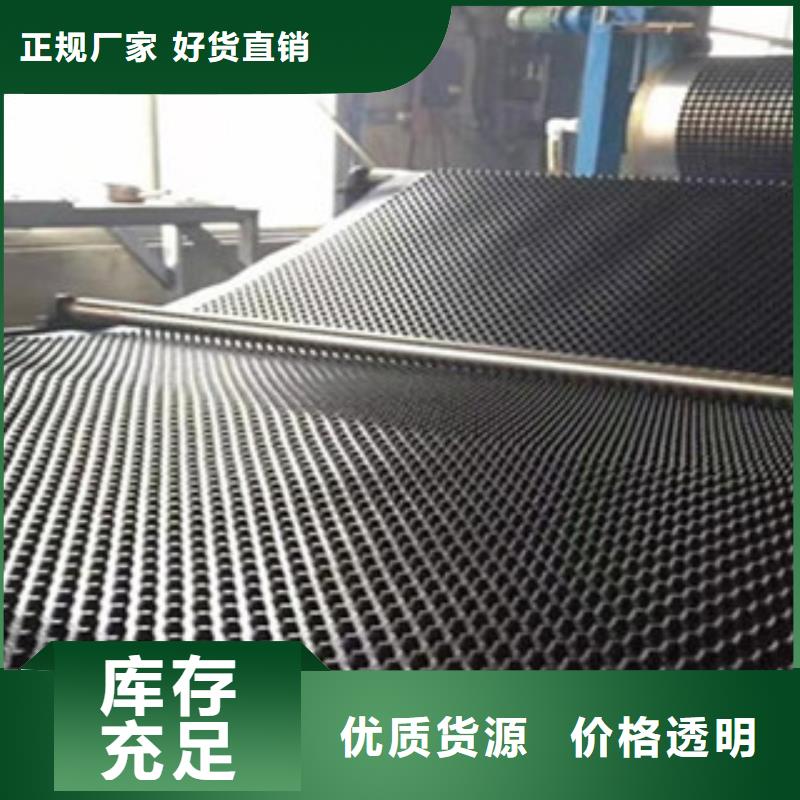 塑料排水板鋼塑土工格柵海量貨源