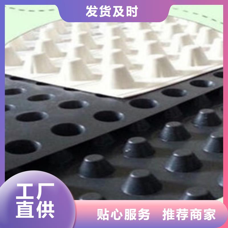 塑料排水板塑料土工格栅拒绝差价