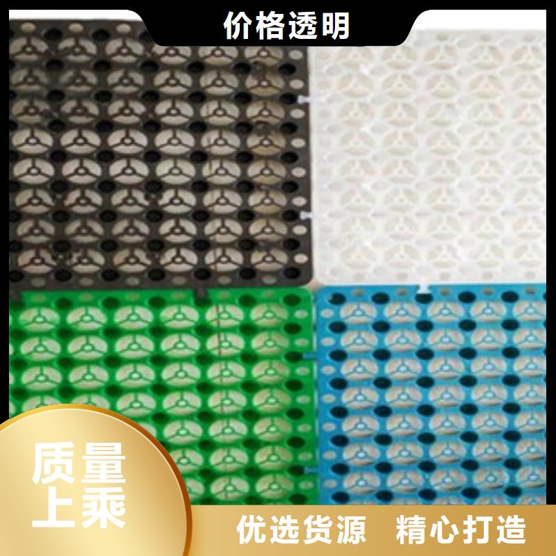 塑料排水板高强度土工网自营品质有保障