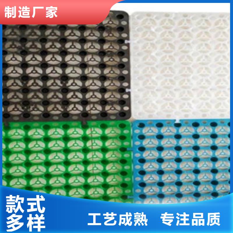 塑料排水板-防裂貼抗裂貼實(shí)力商家