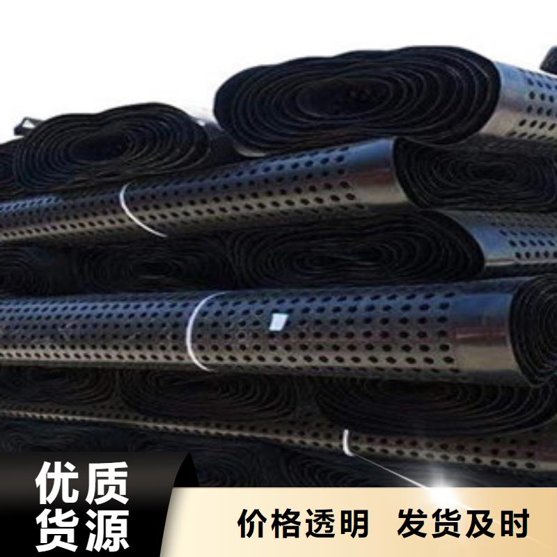 塑料排水板玻纤土工格栅源头厂家供应
