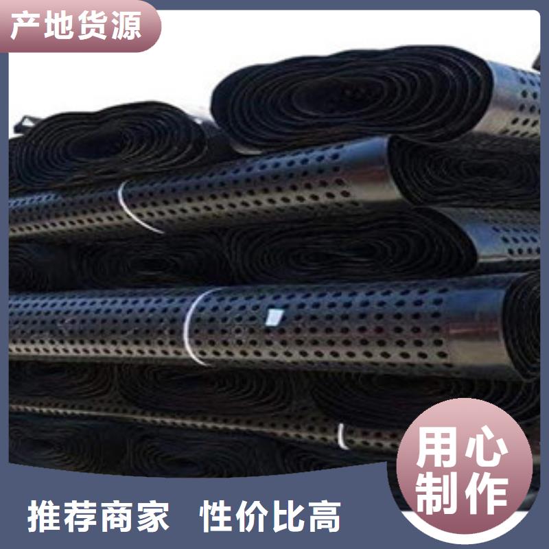 塑料排水板鋼塑土工格柵誠信為本