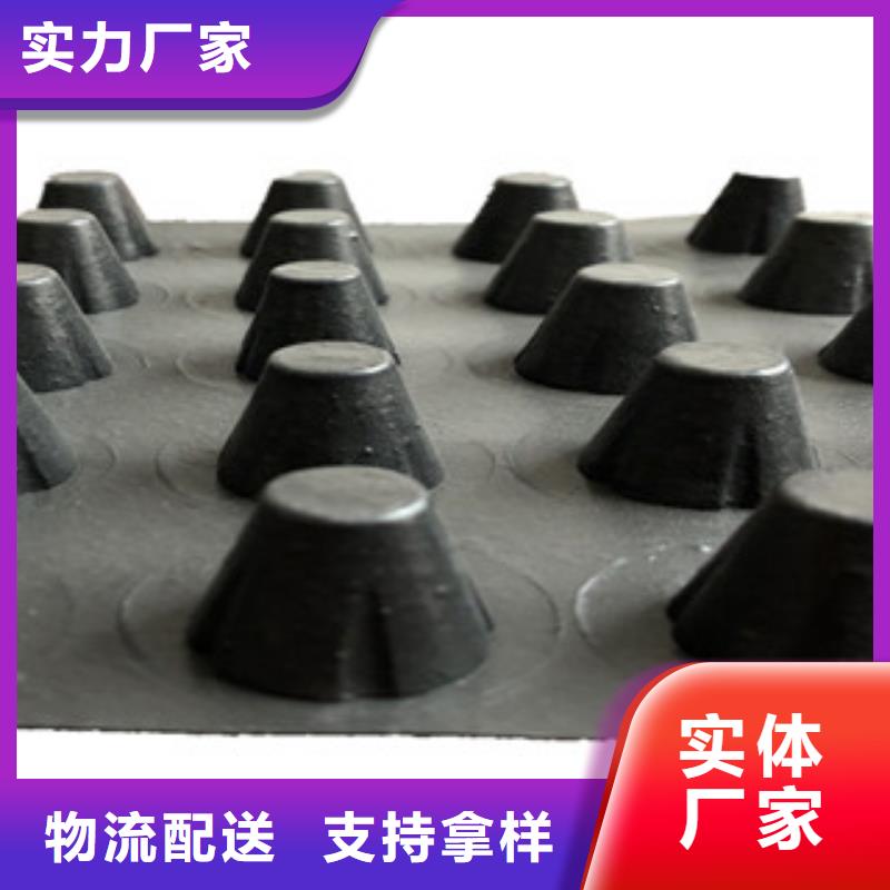 塑料排水板玻纖土工格柵實(shí)力公司