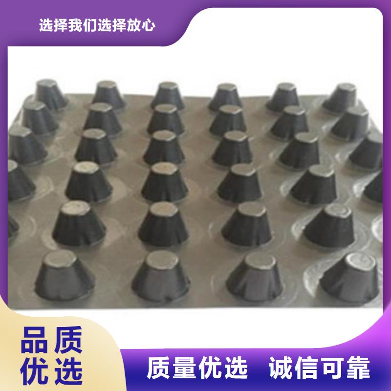 塑料排水板玻纤土工格栅厂家直营