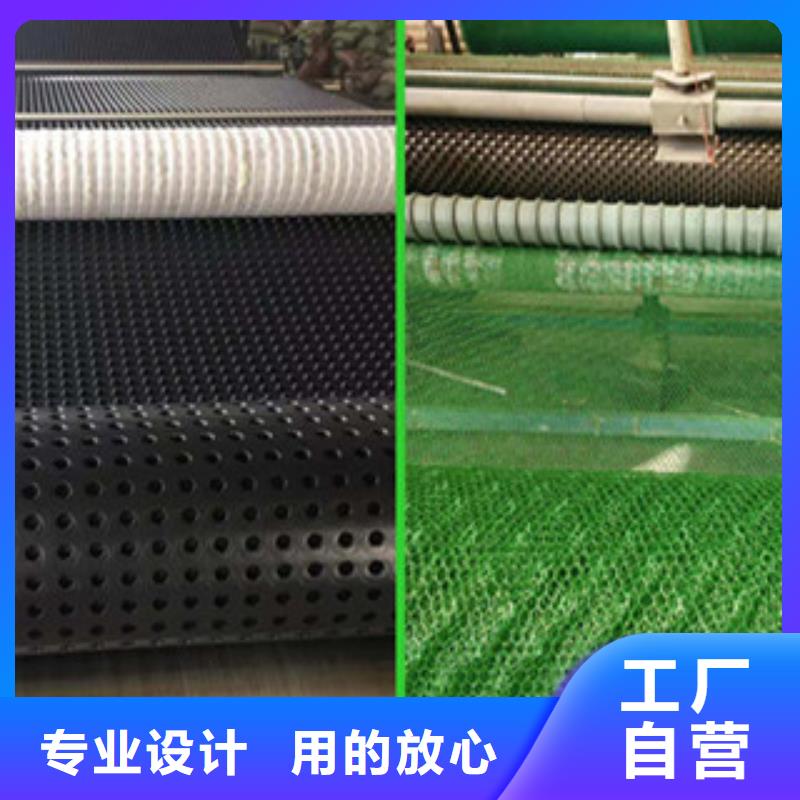 塑料排水板玻纖土工格柵廠家直營