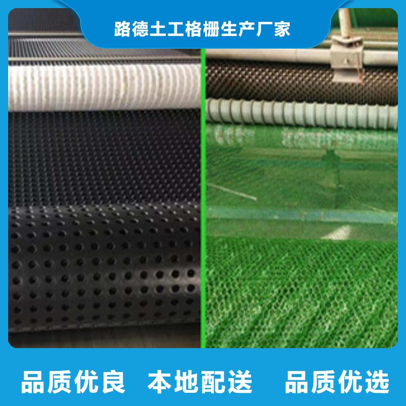 塑料排水板鋼塑土工格柵海量貨源