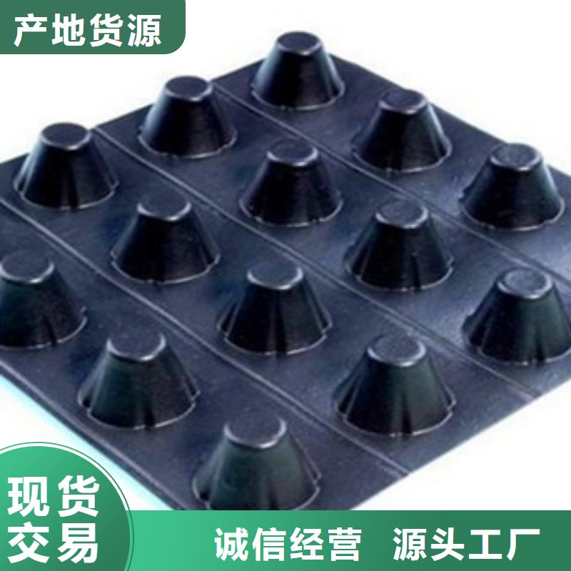 塑料排水板钢塑土工格栅海量货源