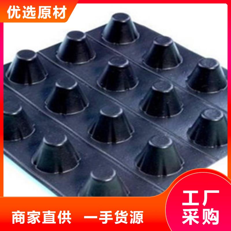 塑料排水板鋼塑土工格柵誠信為本