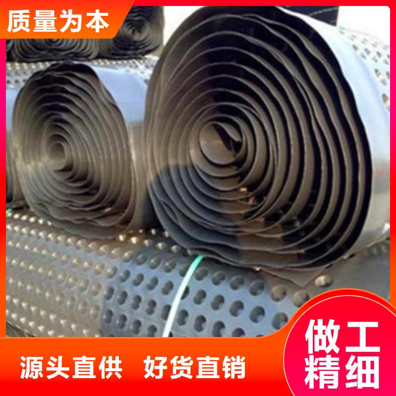 塑料排水板-塑料土工格栅一站式供应厂家