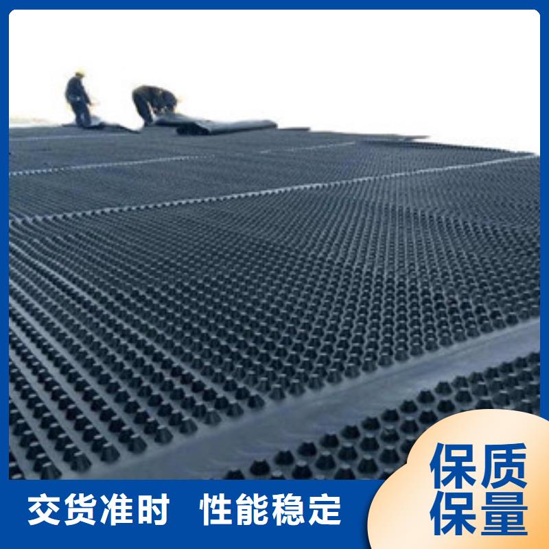 塑料排水板鋼塑土工格柵誠信為本