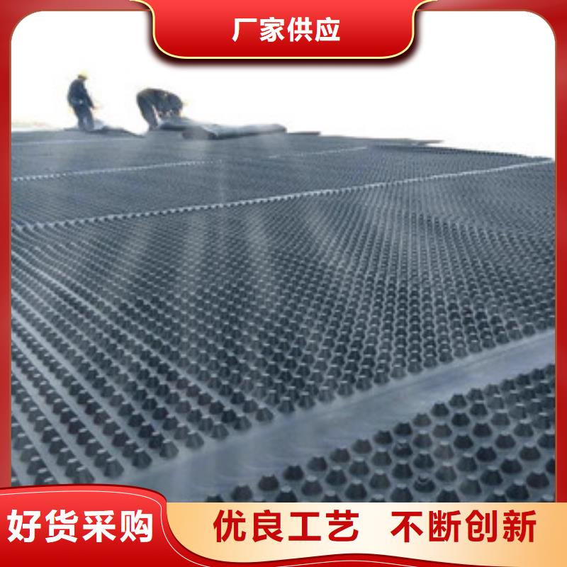塑料排水板鋼塑土工格柵海量貨源