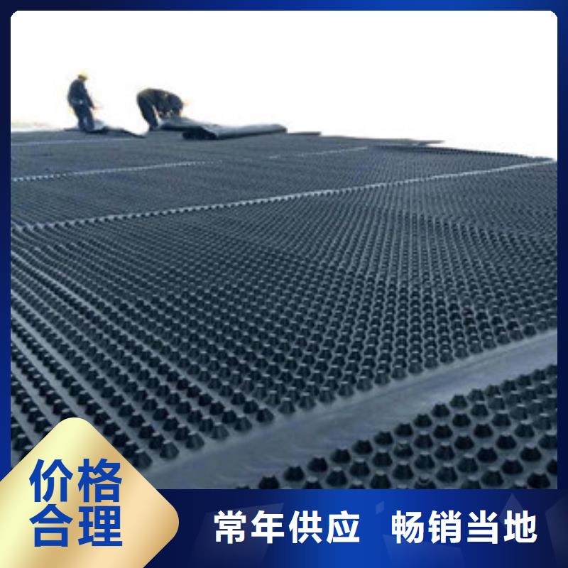 塑料排水板-塑料土工格栅一站式供应厂家