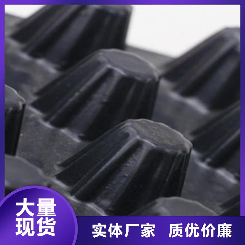 塑料排水板鋼塑土工格柵誠信為本