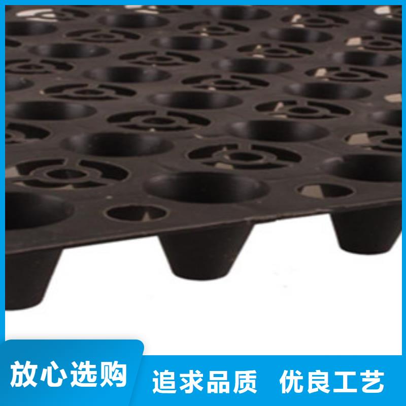 塑料排水板三維植被網(wǎng)信譽至上