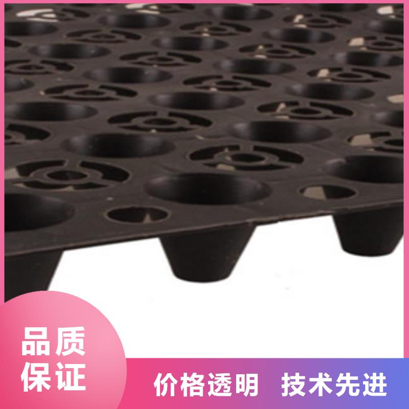 塑料排水板鋼塑土工格柵誠信為本