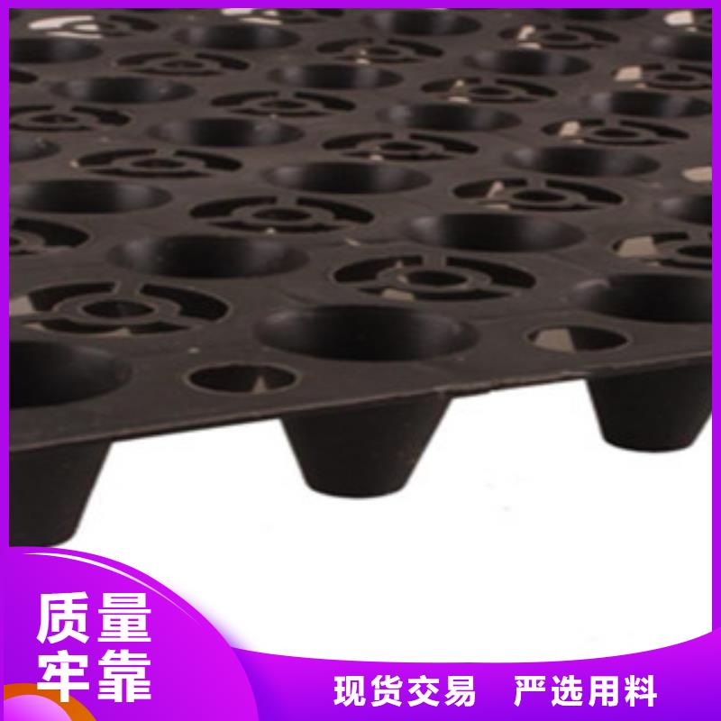 塑料排水板钢塑土工格栅海量货源