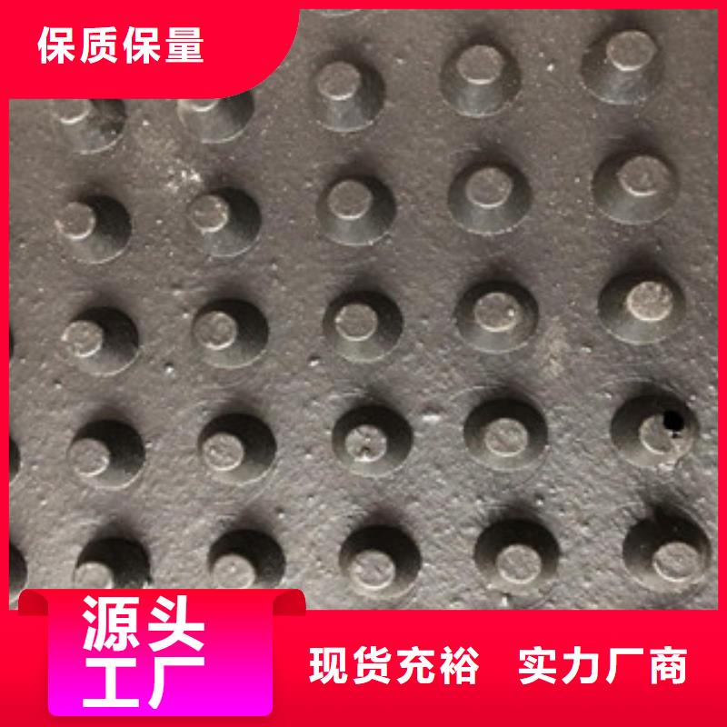 塑料排水板玻纖土工格柵擁有核心技術(shù)優(yōu)勢