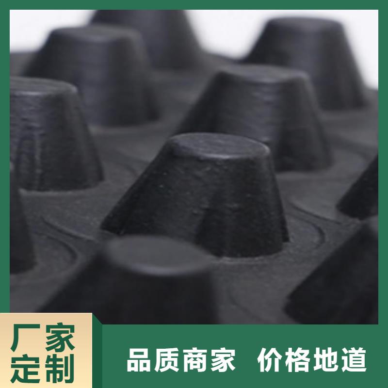 塑料排水板鋼塑土工格柵誠信為本