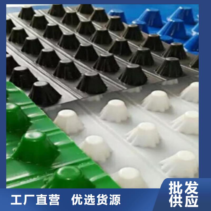 塑料排水板三維植被網(wǎng)信譽至上