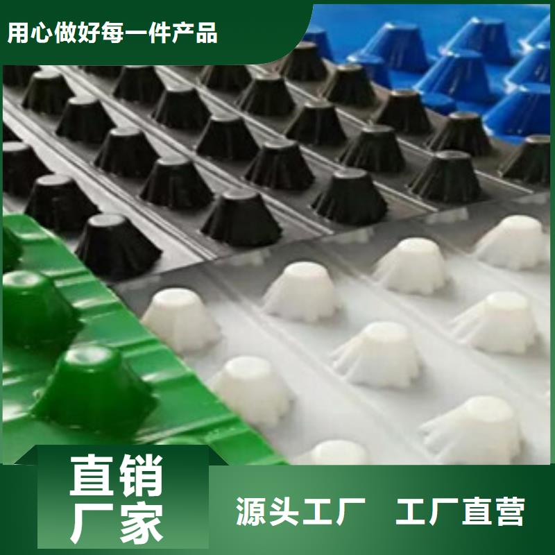 塑料排水板鋼塑土工格柵誠信為本