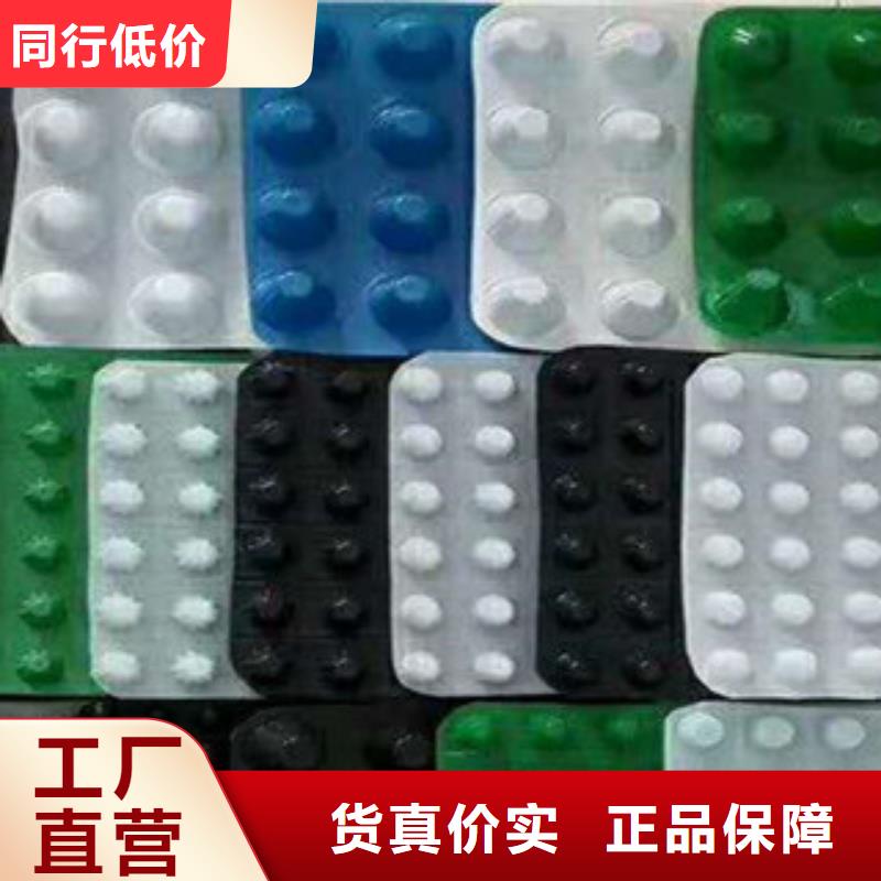 塑料排水板鋼塑土工格柵誠信為本