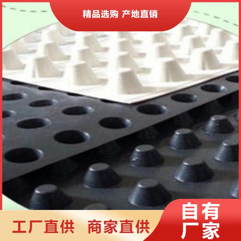 塑料排水板三維植被網(wǎng)信譽至上