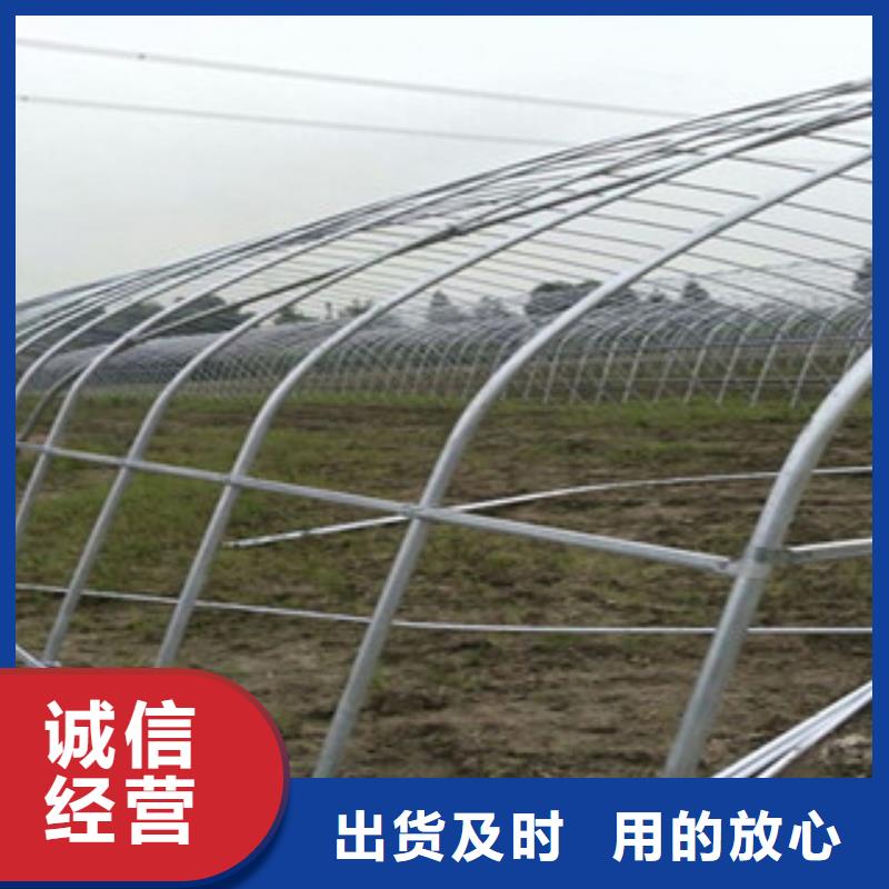 大棚管镀锌钢管口碑好实力强