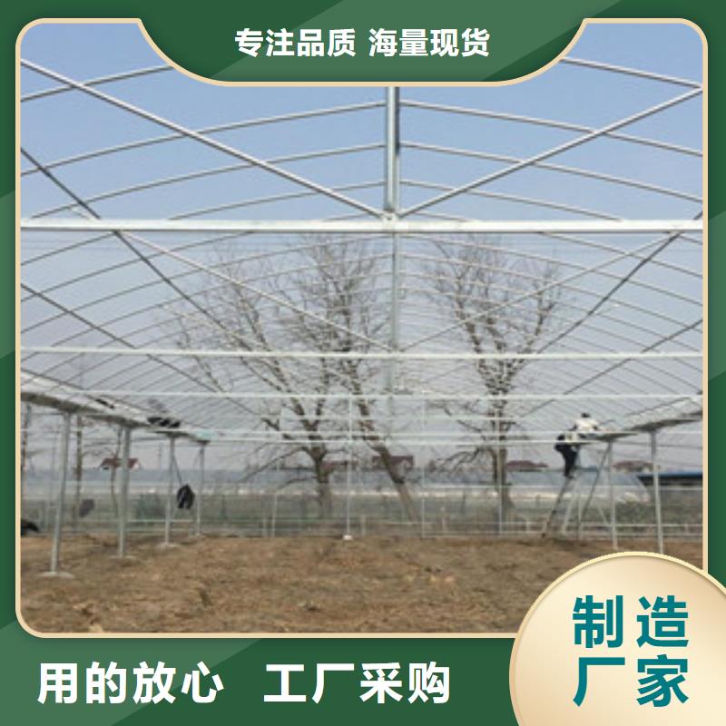 大棚管-無縫鋼管好品質(zhì)經(jīng)得住考驗